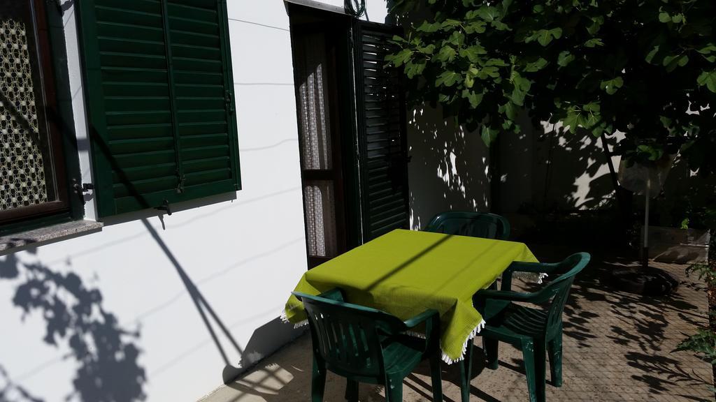 Apartments And Rooms Mirjana Bibinje Habitación foto